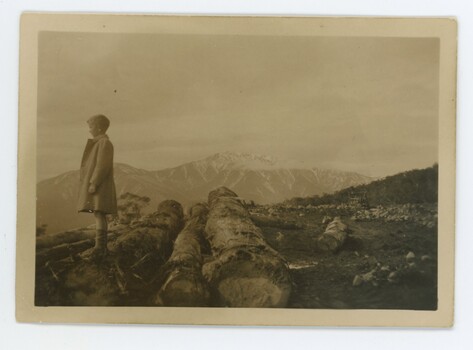 John Meyer at West Kiewa, No.5 c1950. Large logs on the ground.