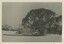 Fitzgeralds Hut built in 1903