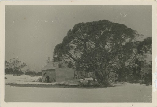 Fitzgeralds Hut built in 1903