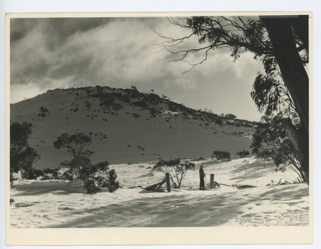 Near Wallace's Hut, Bogong High Plains