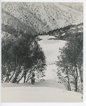 Small SEC Hut in the snow c1950