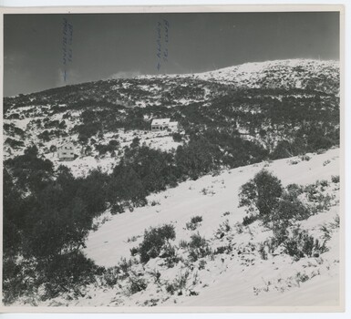 Myrtleford and Albury Lodges from "Skyline". Marks at top indicate locations.