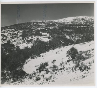 Myrtleford and Albury Lodges from "Skyline". Marks at top indicate locations.
