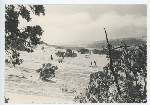 Between Wallace's Hut and SEC cottage, Bogong High Plains