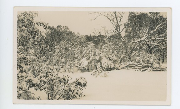 Kelly's Stockyard - fence jus visible in snow