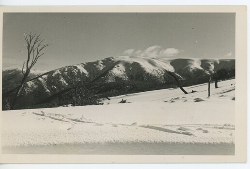 West Peak Bogong High Plains