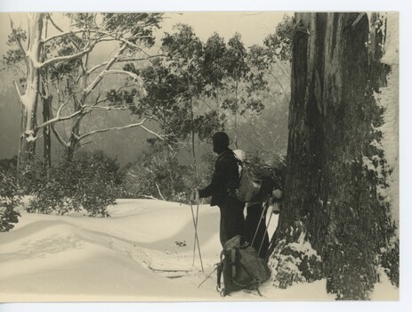   Wal Johnson on Timms Spur