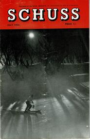 Skier in the moonlight.