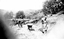 Constructing "Grand Coeur"  - digging trenches