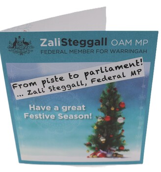 Front of Zali Steggal's Festive Season Card 2020