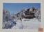 Back Cover - Astra in heavy snow