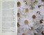 Inside cover and fly leaf