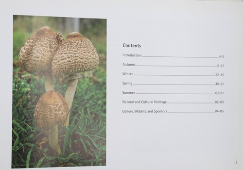 Contents page and image