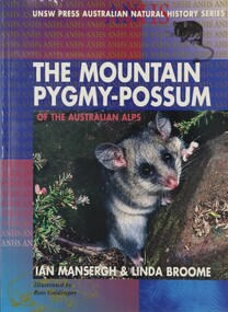 The Mountain Pygmy Possum