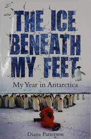 The Ice Beneath my Feet - Cover