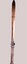 Tom Mitchell's Vintage Hickory Skis