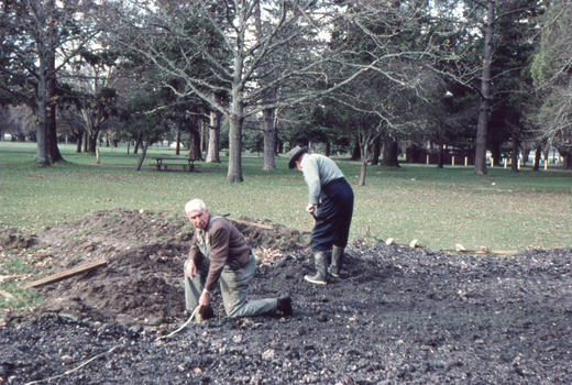 Mr Frank Brown measuring out and Bill Roff spreading