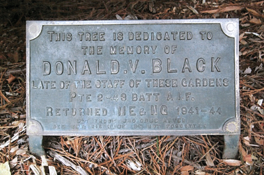 Work on paper - Gardener, Ballarat Botanical Gardens, Donald Victor BLACK, gardener, WW11, Dedication of Tree, 19th March 1944, March, 1944