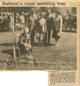 Work on paper - The Planting of a Tulip Tree, Commemoration of the wedding of Prince Charles to Lady Diana Spencer_Courier, 15 Sept 1981, 15 September 1981