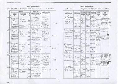 Work on paper - Death Certificates of People Associated with the Ballarat Botanical Gardens 1880-1910, Medical Diagnosis Related to Contemporary Documentation and Reports