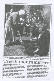 Work on paper - Tree Honours Sisters, Ballarat Courier Article C 1995, [2014]