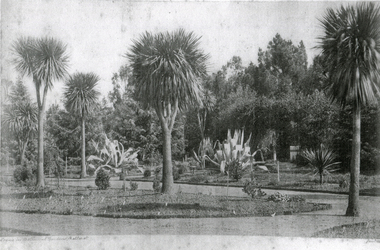 Work on paper - Scene in Ballarat Botanical Gardens, January 3rd, 1883, 3/1/1883
