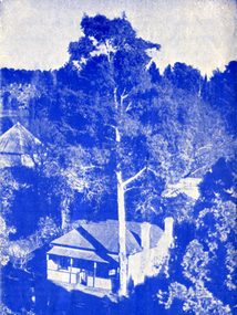 Work on paper - Adam Lindsay Gordon, Australian Poet, Souvenir from Adam Lindsay Gordon's Cottage, Unknown