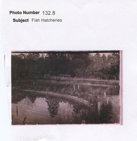 Work on paper - Fish Hatcheries at the Ballarat Botanical Gardens, Victoria, Fish Hatcheries on the West Side of the Gardens