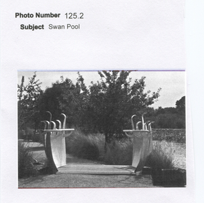 Work on paper - The Swan Pool, Ballarat Botanical Gardens