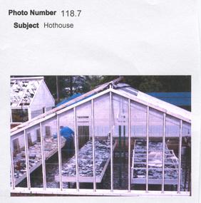 Work on paper - Hothouse, Ballarat Botanical Gardens