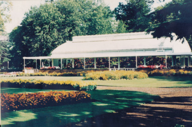 Photograph - Digital image, Cuthbert House begonia display