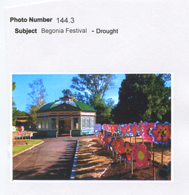 Work on paper - Begonia Festival Display During the Millennium Drought, Outside the Statue Pavilion, Ballarat Botanical Gardens, Victoria