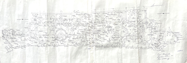 Map - Map of Trees in the Ballarat Botanical Gardens, Tree Research - Location Plan and Naming, 1983