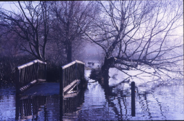 Photograph - Digital image TIFF, Old Fairyland Bridge