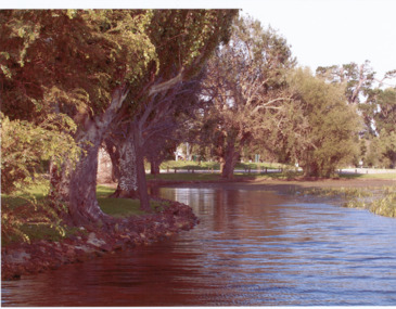 Photograph - Digital image TIFF, Fairyland Ballarat