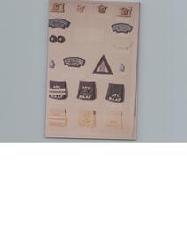 Photograph - Various Insignia, Various ATC Rank Insignia
