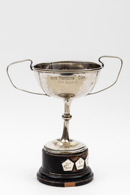 Award - Trophy
