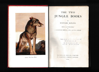 Book, Rudyard Kipling, The two jungle books, 1924