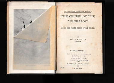 Book, McMillan, The cruise of the Cachalot : round the world after sperm whales, 1904