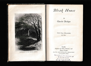 Book, Charles Dickens, Bleak house