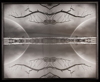 Photograph, Bindi Chocka Cole, West of Eden, 2015