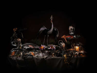 Photograph, Michael Cook, Nature Morte (Exploitation), 2021