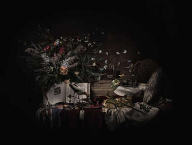Photograph, Michael Cook, Nature Morte (Colonisation), 2021