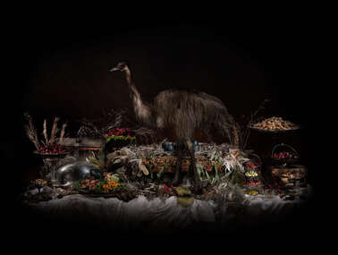 Photograph, Michael Cook, Nature Morte (Aliment), 2021