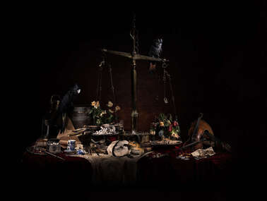 Photograph, Michael Cook, Nature Morte (Blackbird), 2021