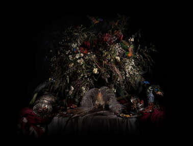 Photograph, Nature Morte (Flora), 2021