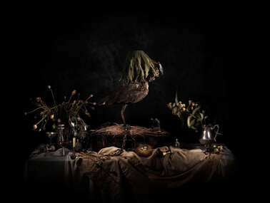 Photograph, Michael Cook, Nature Morte (Veiled Bird), 2021