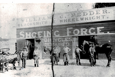 Photograph - Beaufort Business, Pedder Blacksmith about 1910