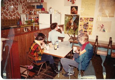 Photograph - KNH 5/6/009 In the kitchen at 89 McCracken Street circa 1980's
