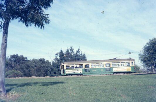 SW5 853 from the park - from Wattle Park